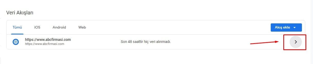GA4 Veri Akışı