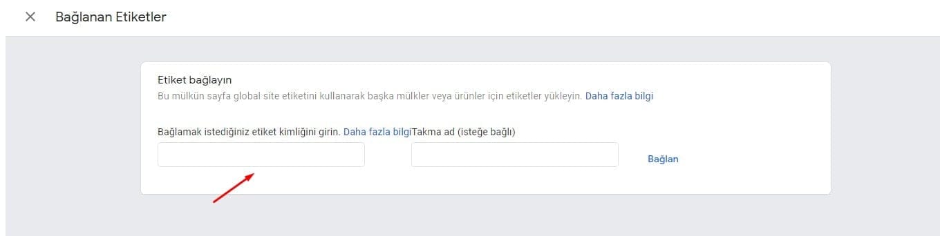 GA Bağlanan Etiketler